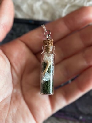 Image of Mouse Bone & Snake Shed Crystal Bottle Necklace