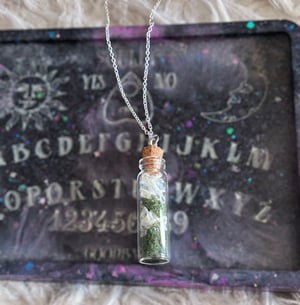 Image of Mouse Bone & Snake Shed Crystal Bottle Necklace
