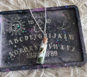 Image of Mouse Bone & Snake Shed Crystal Bottle Necklace