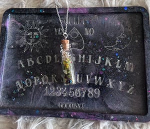 Image of Dragonfly Wing & Snake Skin Crystal Necklace