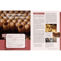 Image 3 of The Australian Native Bee Book