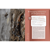 Image 4 of The Australian Native Bee Book