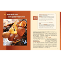Image 5 of The Australian Native Bee Book