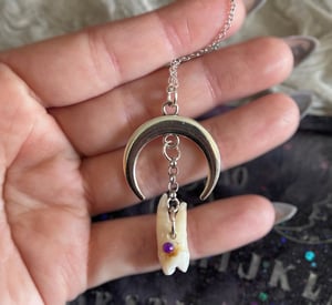 Image of Human Tooth Necklace