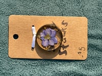 Image 2 of Resin Preserved Flower Pendant