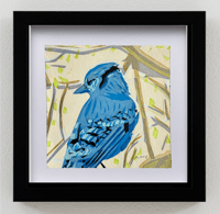 Image 4 of #432 "Blue Jay"