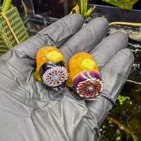 Steve H Dot Milli Pocket Potatoes