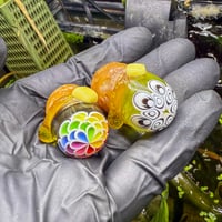 RL Dots Pocket Potatoes