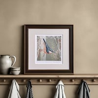 Image 1 of  NUTHATCH ART PRINT