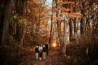 Image 1 of 2025 Fall Minis