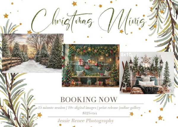 Image of Christmas Mini Session - November 15 deposit - 12:15pm
