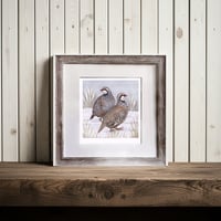 Image 2 of PARTRIDGE ART PRINT
