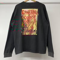 Image 2 of Cannibal Corpse The Bleeding 1994 L