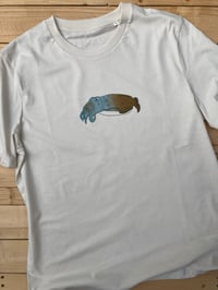 Image 1 of Cuttlefish T-shirt