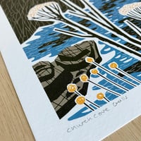 Image 3 of Church Cove Gulls Small Print