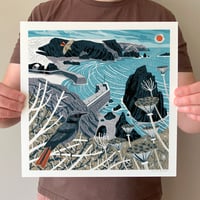 Image 1 of Mullion Cove Black Redstarts