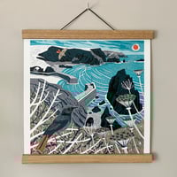 Image 2 of Mullion Cove Black Redstarts