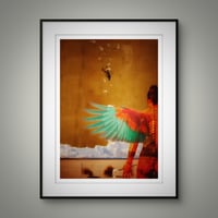 Image 4 of 'Falling with Grace '