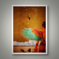 Image 2 of 'Falling with Grace '