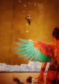 Image 1 of 'Falling with Grace '