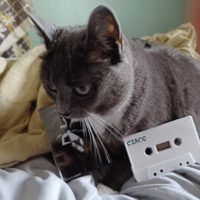 Image 2 of Conceived in a car crash cassette 