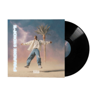 PARADISE SYNDROME VINYL