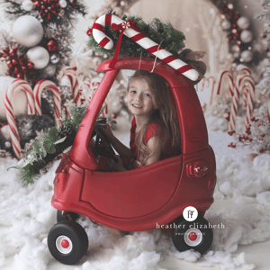 Image of Christmas Mini's 2025 - Session fee EARLY BIRD OFFER Just £29 (normally £49)