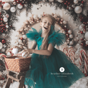 Image of Christmas Mini's 2025 - Session fee  EARLY BIRD OFFER Just £29 (normally £49)