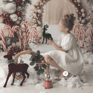 Image of Christmas Mini's 2025 - Session fee EARLY BIRD OFFER Just £29 (normally £49)