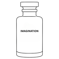 Imagination