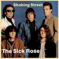 The Sick Rose "Shaking Street" LP