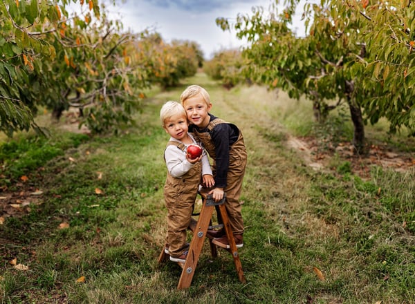 Image of October 12, 2025 Apple Orchard Fall mini session (T.S. Smith and Son, Bridgeville)