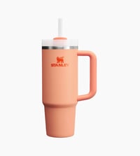 Image 1 of STANLEY™️ THE QUENCHER H2.0 FLOWSTATE™ TUMBLER “Nectarine” | 30 OZ 