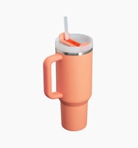 Image 2 of STANLEY™️ THE QUENCHER H2.0 FLOWSTATE™ TUMBLER “Nectarine” | 40 OZ