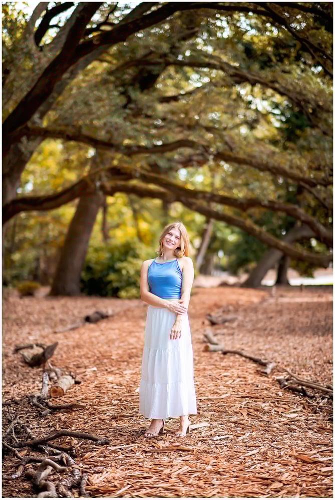 Image of Tunnel of Trees - Sunday, October 19th