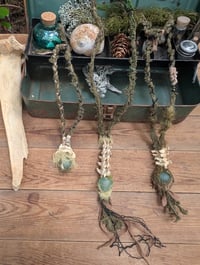 Image 1 of Raccoon Dreams