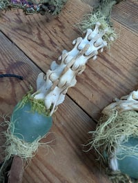 Image 3 of Raccoon Dreams