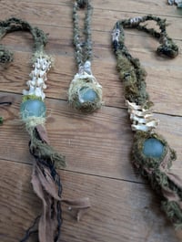 Image 4 of Raccoon Dreams