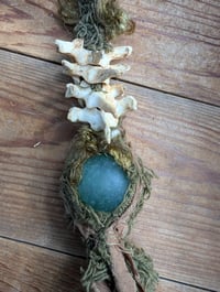 Image 4 of Beaver pond