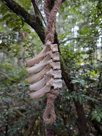 Image 1 of The Keeper / Bear vertebrae