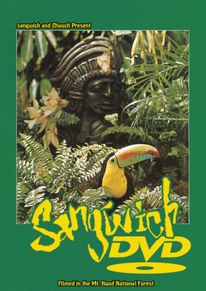 𝐬𝐚𝐧𝐠𝐰𝐢𝐜𝐡 𝐝𝐯𝐝 𝐬𝐡𝐢𝐫𝐭