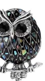 Image of Queenstown Owl