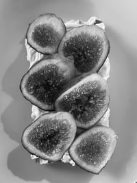 MONOGURUI mini-coat: (YUGHUR::PHANTOM)