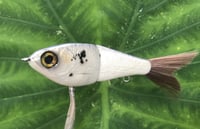 Image 3 of SPEEDBAITS Custom Airbrushed Glide Bait 2614