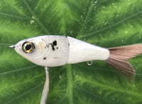 Image 1 of SPEEDBAITS Custom Airbrushed Glide Bait 2614