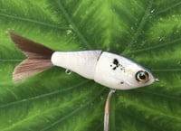 Image 8 of SPEEDBAITS Custom Airbrushed Glide Bait 2614