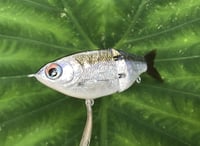 Image 4 of SPEEDBAITS Custom Airbrushed Glide Bait 2626