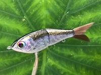Image 7 of SPEEDBAITS Custom Airbrushed Glide Bait 2626