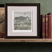 Image 1 of  CURLEW ART PRINT