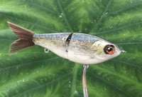 Image 2 of SPEEDBAITS Custom Airbrushed Glide Bait 2791